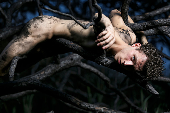 Fine art photograph of Burn Forest in the Meat Rack area of Fire Island, presented as a contemporary queer landscape.