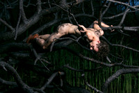 Brock Hanging from Burnt Branches in the Meat Rack, Fire Island | koitz Photography