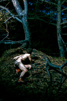 Brock on the ground looking out from a small cliff in the woods on Fire Island, photographed by koitz.