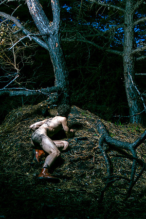 Brock on the ground looking out from a small cliff in the woods on Fire Island, photographed by koitz.