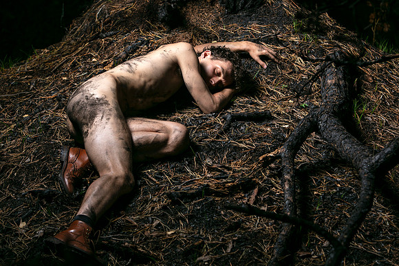 Brock on the ground among the burnt trees in the Meat Rack on Fire Island, photographed by koitz.