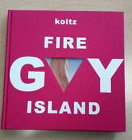 "koitz Gay Fire Island"        www.gaypinkbook.com